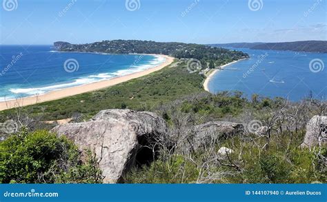 Palm Beach in Sydney, Australia Stock Photo - Image of beauty, scene ...