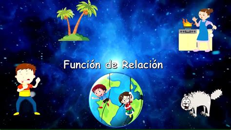 Funciones De Relación En Los Seres Vivos Youtube