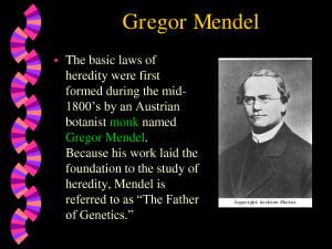 Gregor Mendel Quotes. QuotesGram