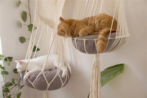 What Kitty Wouldnt Love One Of These Hanging Macrame Cat Hammocks