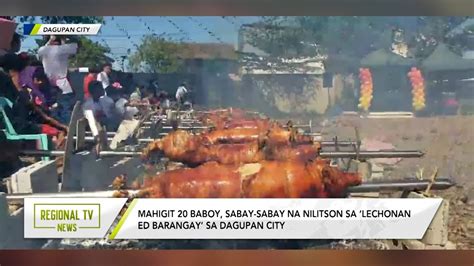 Regional Tv News Mahigit Baboy Sabay Sabay Na Nilitson Sa