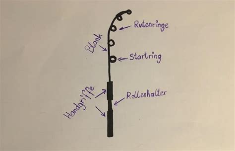 Karpfenruten 3 Tipps Beim Kauf Deiner Angelrute