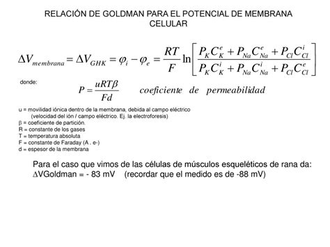 Biofisicoquímica Potenciales Ppt Descargar