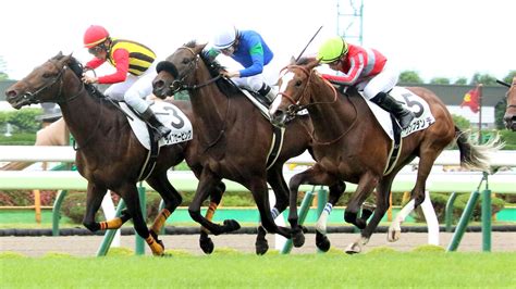 【函館5r・2歳新馬】ワンブランチが初陣v 佐々木大輔騎手「勝ち切れたのは能力があるからだと思います」 スポーツ報知