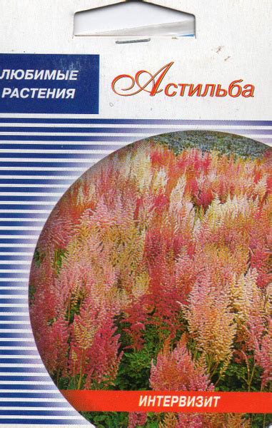 Многолетники для альпийской горки Многолетники - купить по выгодным ...