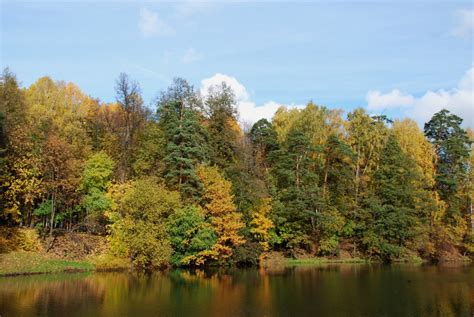 Banco De Imagens Panorama Rvore Natureza Regi O Selvagem Plantar