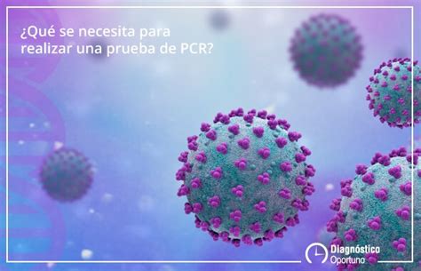 C Mo Funcionan Las Pruebas De Pcr Diagn Stico R Pido En Salud