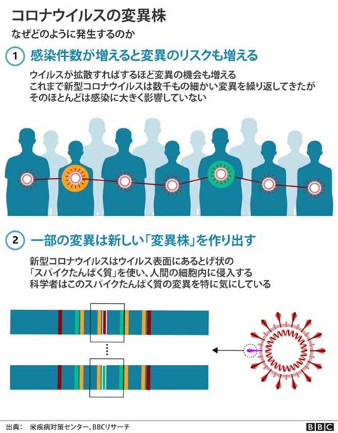 Who、南アで検出の変異株は「オミクロン」 「懸念される変異株」に指定 Bbcニュース