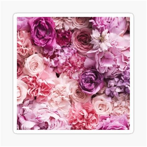 Big Pink Roses In Summertime Botanical Garden Flowers Sticker For