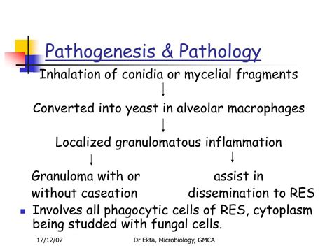 Ppt Systemic Mycosis Powerpoint Presentation Free Download Id 4247898