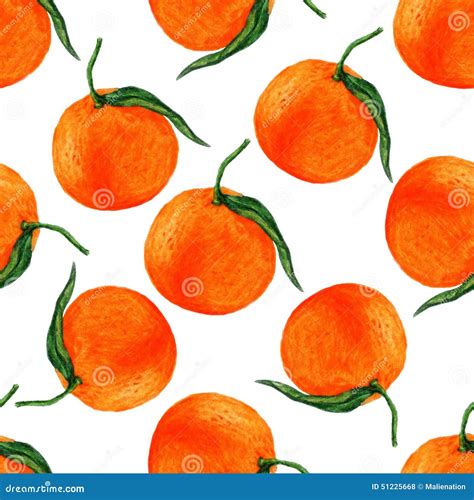 Hand Draw Orange Seamless Pattern On White Background Fruit Watercolor