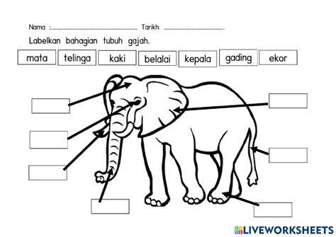 Lembaran Kerja Bahagian Tubuh Haiwan Sains Tahun Tempat Tingga