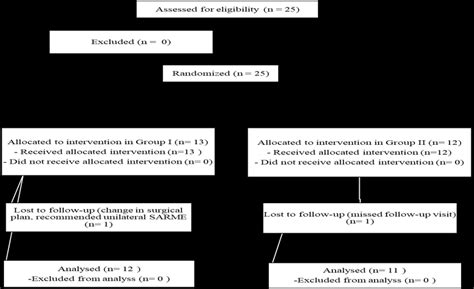 Flow Diagram According To The Consort Statement Download Scientific