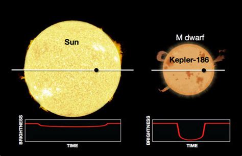 Kepler-186F is first Earth-like planet discovered in a nearby star's ...