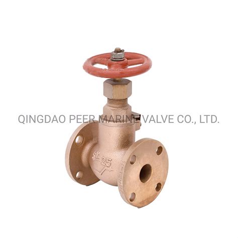 Jis F K Marine Bronze Flanged Globe Check Valve Check Valve