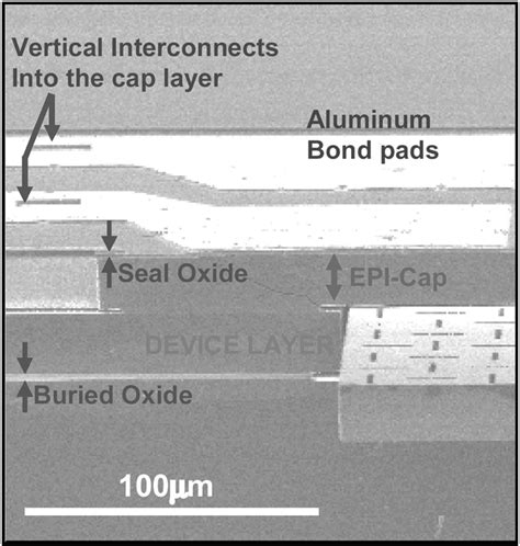 Cross Section Sem Of An Encapsulated Piezoresistive Accelerometer An