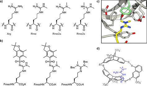 Histones At The Crossroads Of Peptide And Protein Chemistry Chemical