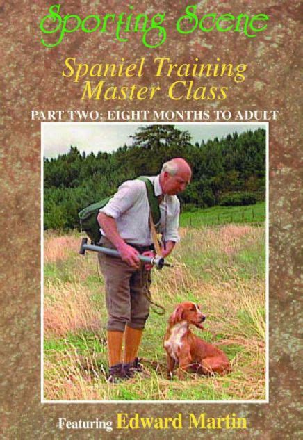 Spaniel Training Master Class – Part 2 Eight Months to Adult – Sporting ...