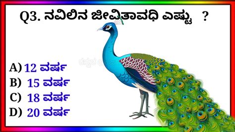 Most Interesting Questions In Kannada Kannada Quiz Questions And