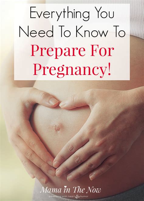 Everything You Need To Know To Prepare For Pregnancy