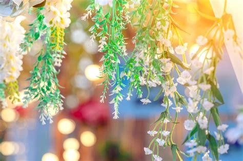 Premium Photo Close Up Of Flowering Plant Hanging From Tree