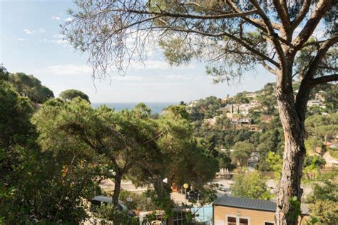 S Nia Cala Canyelles Tarifs Et Avis Camping Lloret De Mar