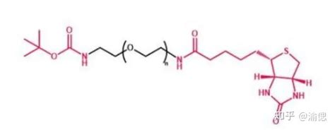 Boc NH PEG Biotin 叔丁氧羰基 聚乙二醇 生物素 知乎