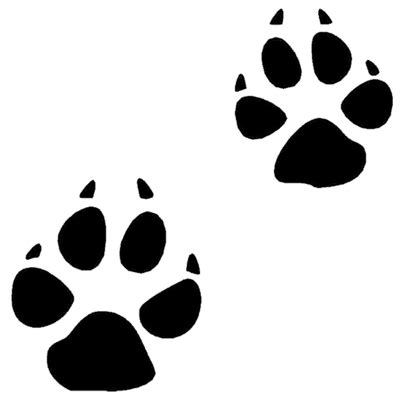 Coyote Paw Prints transparent PNG - StickPNG