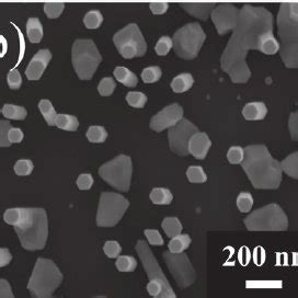 A 45 Tilted SEM Image Of A Typical Sample With InAs NWs Grown On