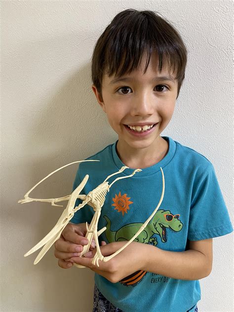 The amazing things you can buy at 100... - AdventurersJapan