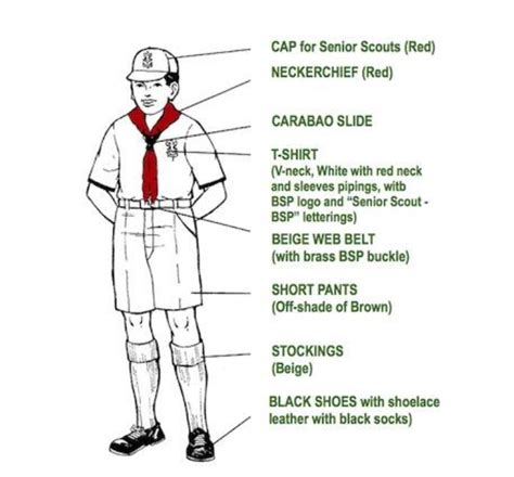 Senior Scout Uniform And Insignia Scouting Resources Boy Scouts Of