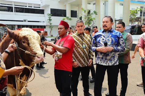 Jaksa Agung Serahkan Hewan Kurban Idul Adha 1445 H JAKSAPEDIA