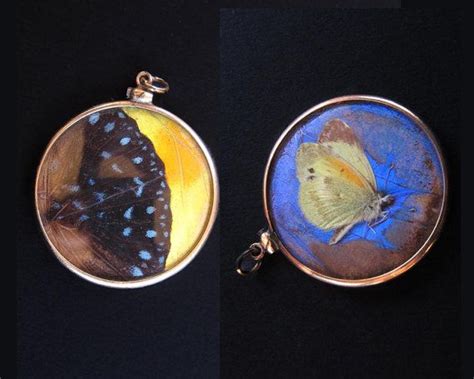 Antique Double Sided Butterfly Wing Pendant Necklace Vintage Etsy