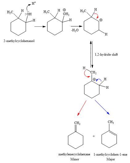 What Would Be The Major And Minor Products Obtained From The E1