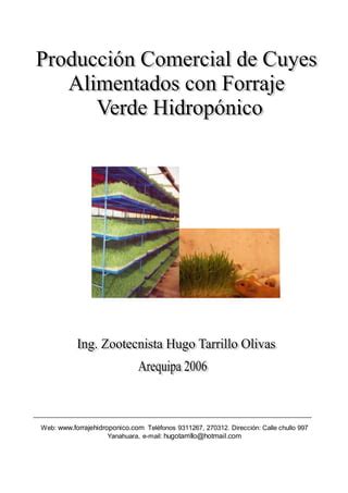 Manual de cuyes ecológicos PDF Descarga Gratuita