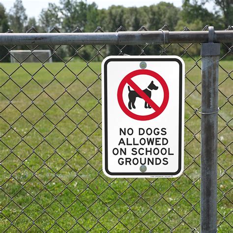 Should Dogs Be Allowed In Schools