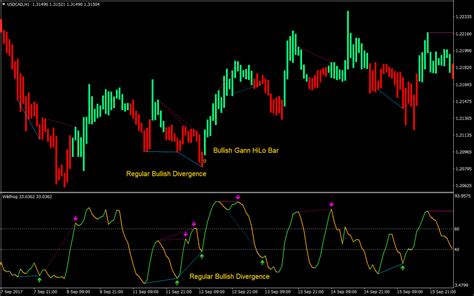 Wildhog Regular Divergence Forex Trading Strategy