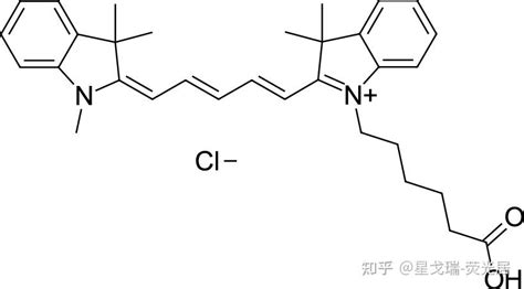 CY5 COOH合成方法CY3 COOH 星戈瑞 知乎