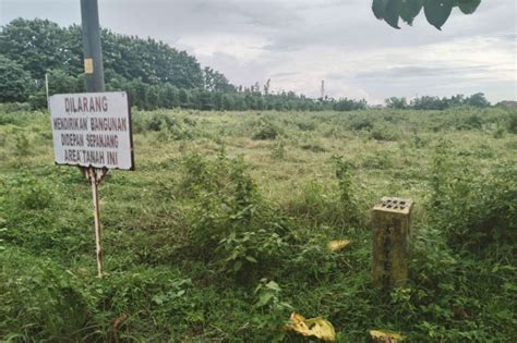 Ternyata Lahan Rumah Hadiah Presiden Jokowi Milik Bos Po Bus