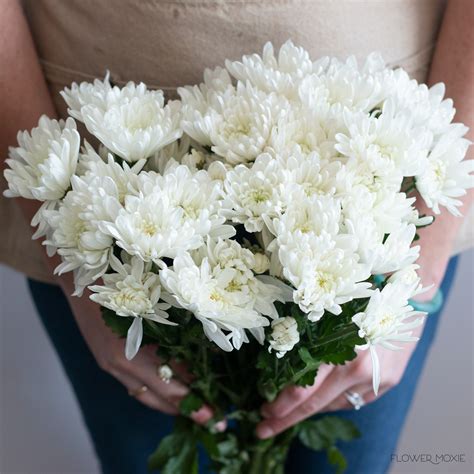 White Cushion Pom Flower | DIY Wedding Flowers | Flower Moxie