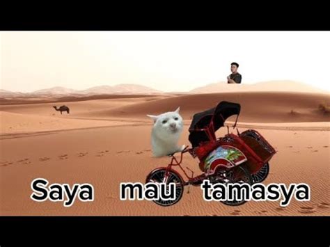 Saya Mau Tamasya Membecak Di Afrika Meme Lagu Saya Mau Tamasya