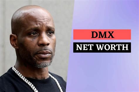 DMX Net Worth 2022: Income, Career, Age, Weight, Girlfriend, Death, Bio
