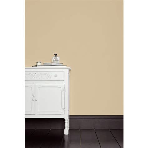 Farrow And Ball Paint Savage Ground