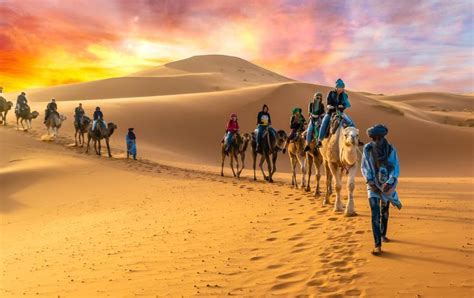 Sunset Camel Trek In Merzouga Desert Desert Tour Morocco Travel Camel