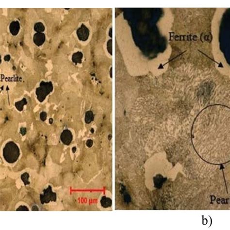 As Cast Microstructure Of Ductile Cast Iron A Optical Microscope Download Scientific Diagram