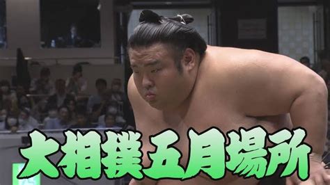 大相撲夏場所 中日 8日目 まつすぐな道でさみしい 改