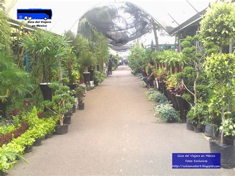 Mercado De Plantas De Xochimilco