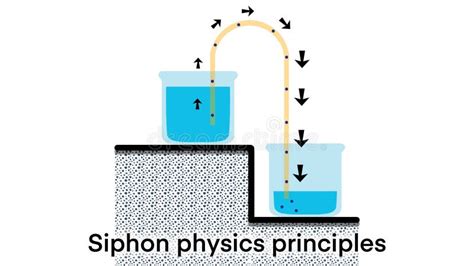 Siphon Physics Stock Illustrations 7 Siphon Physics Stock