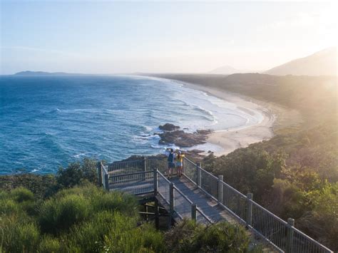 A Guide To Spotting Wildlife In Nsw National Parks Blog Nsw National Parks