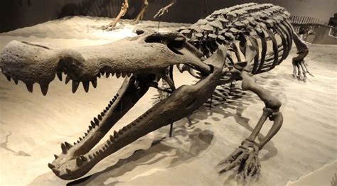 Paleobiologists make intriguing new discoveries about dinosaurs ...